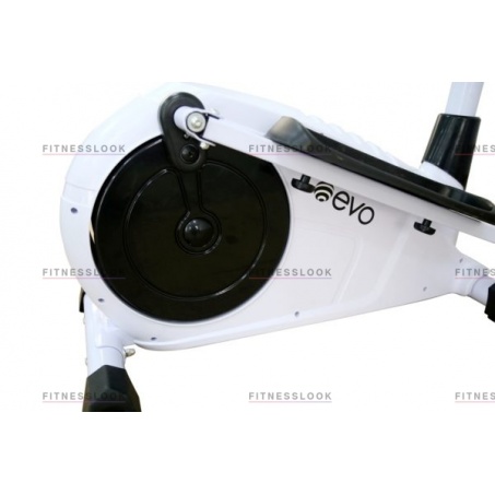 Рендер-2 для Evo Fitness Shark EL