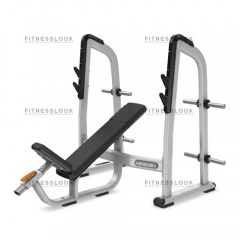 Precor DBR410 - со стойками из каталога скамей со стойкой в Саратове по цене 162470 ₽