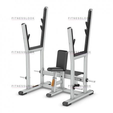 Рендер-0 для Precor DBR507 - со стойками