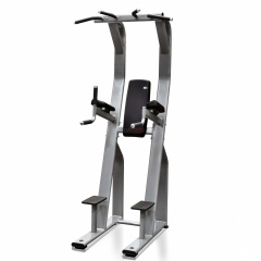 Protrain V8-304 из каталога стоек турник брусья-пресс в Саратове по цене 126820 ₽