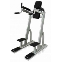 Protrain V8-301 из каталога стоек турник брусья-пресс в Саратове по цене 101750 ₽
